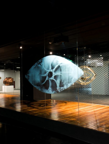 Triển lãm “Tỏa” tại Trung tâm nghệ thuật đương đại Vincom